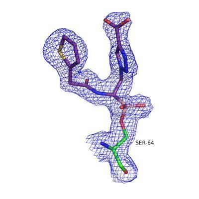 A boronic acid inhibitor bound to ADC-7